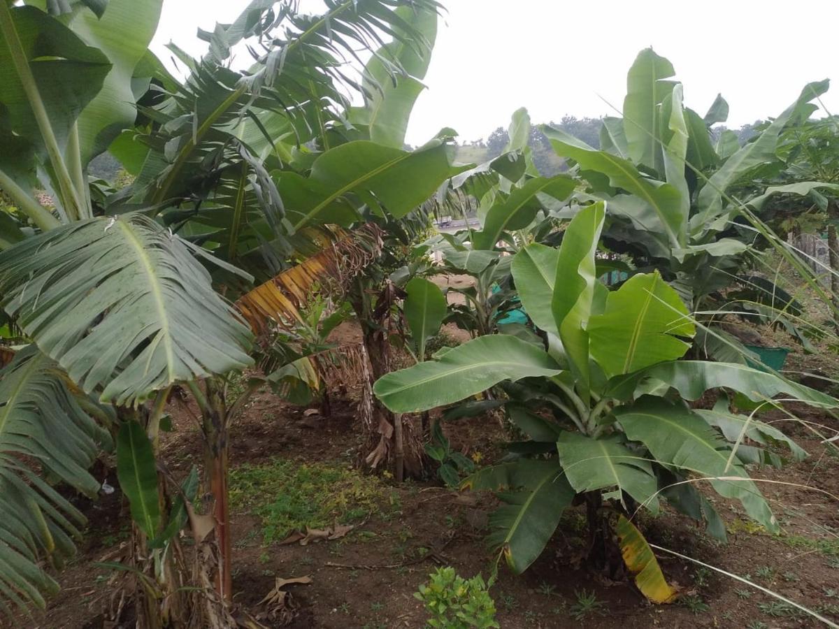 Jandyal Farm House Malshej Ghat Exterior foto